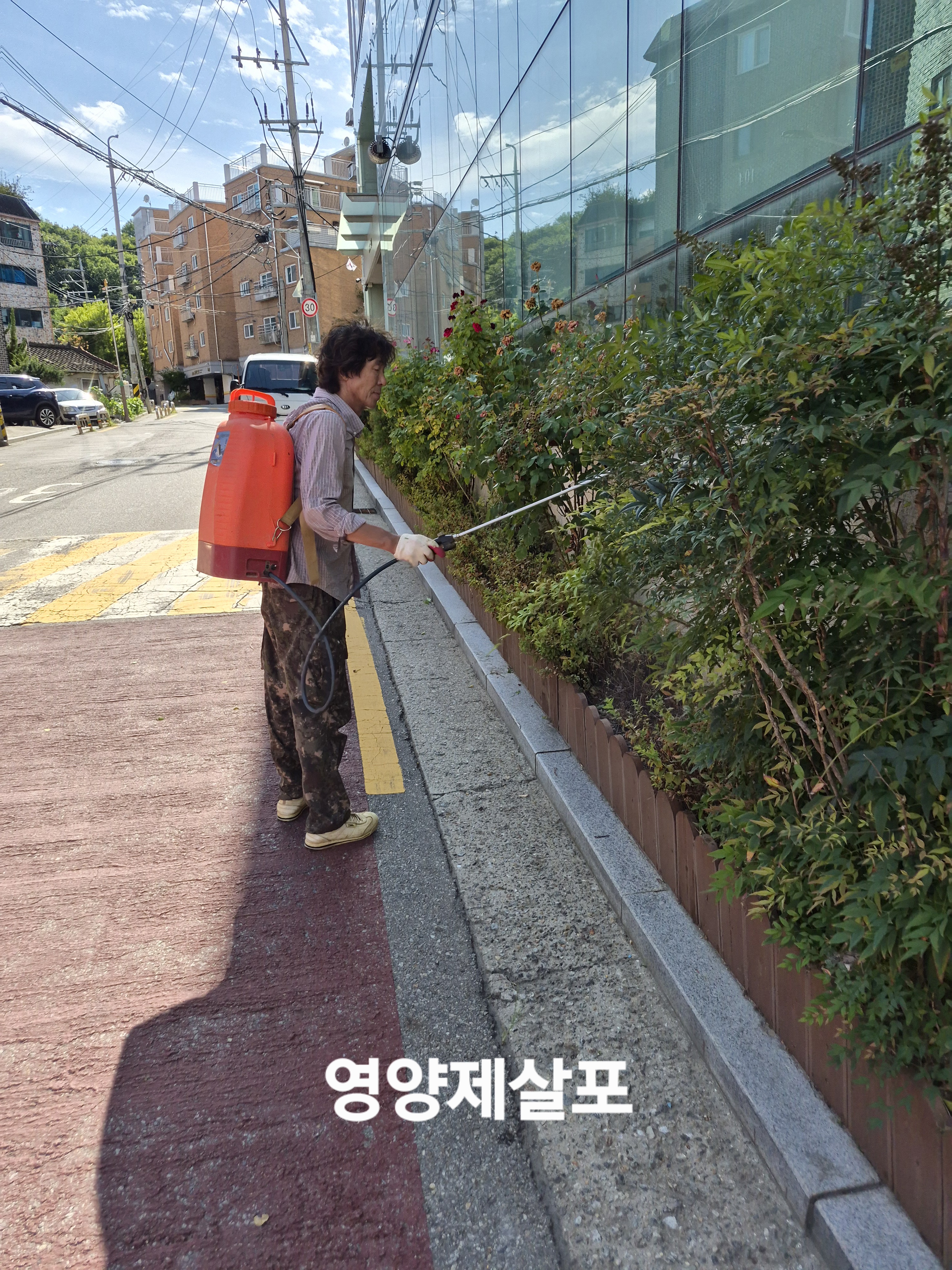 수목 영양 관리